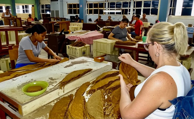 tabacos fabrica 01.jpg